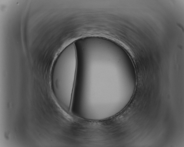 X0000092321525200709141041