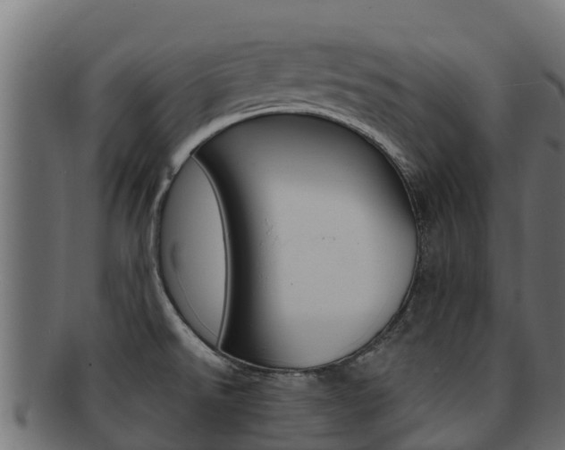 X0000092321526200709141041