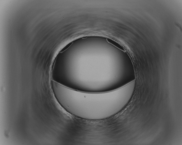 X0000092321528200709141041