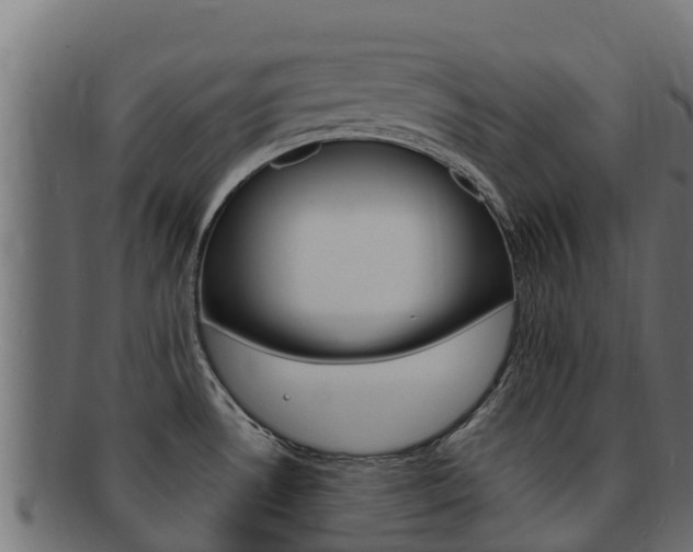 X0000092321530200709141041