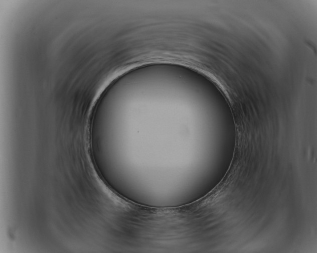 X0000092321531200709141041