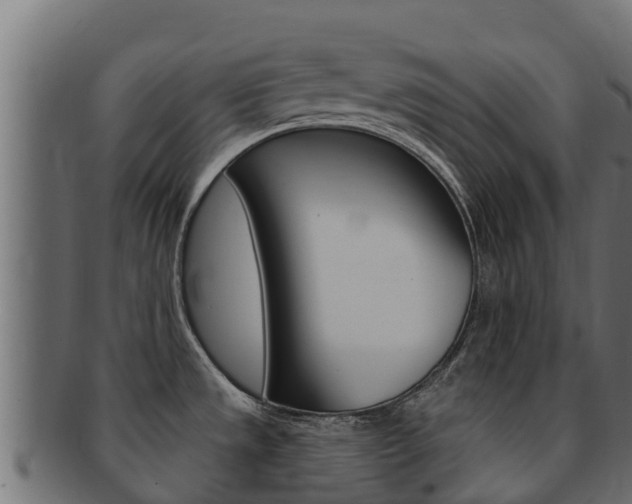 X0000092321533200709141041