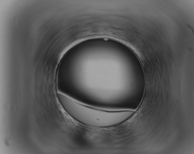 X0000092321534200709141041