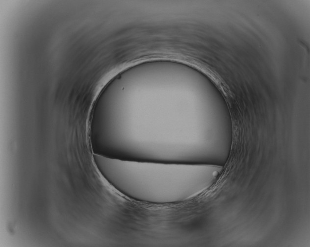 X0000092321535200709141041
