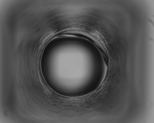 X0000092320001200709141421