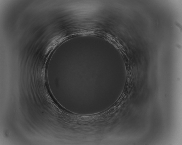 X0000092320002200709141421