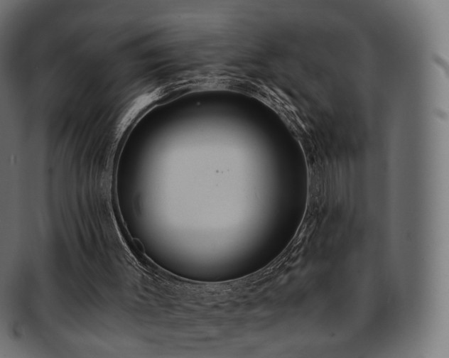 X0000092320003200709141421