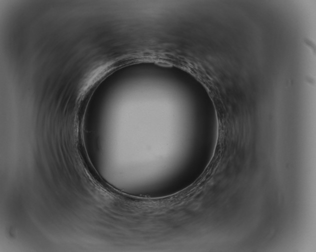 X0000092320005200709141421