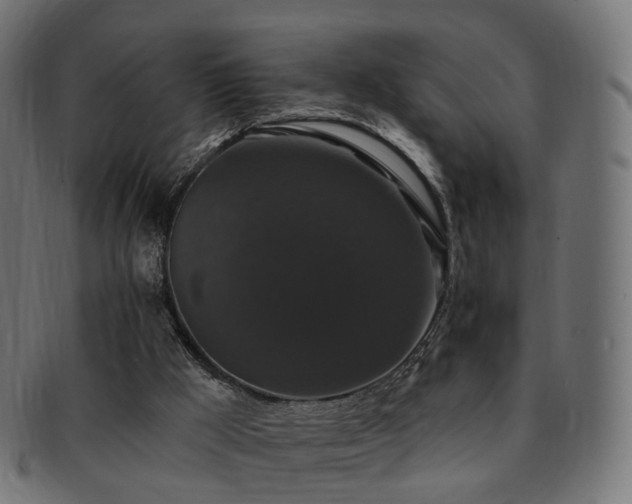 X0000092320009200709141421
