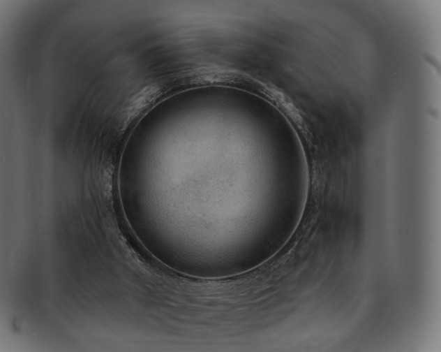 X0000092320010200709141421