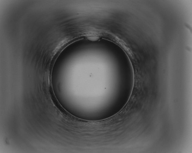 X0000092320011200709141421