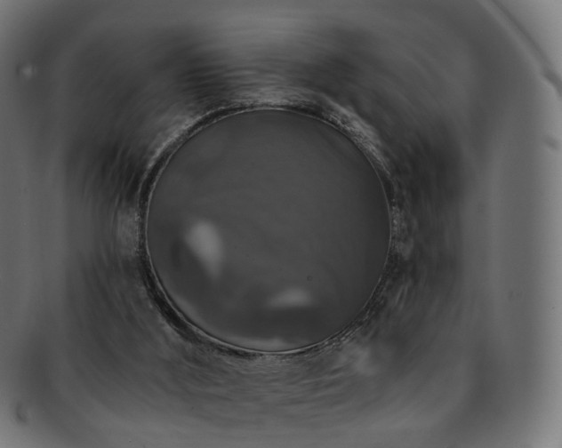 X0000092320012200709141421