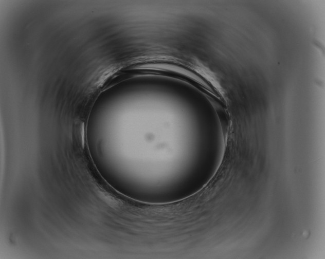 X0000092320013200709141421