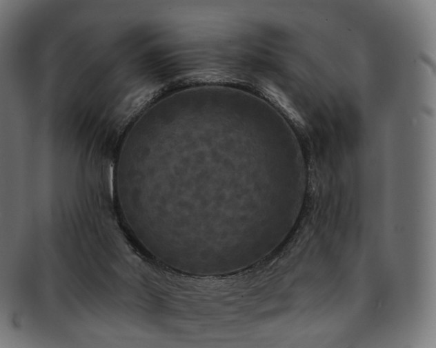 X0000092320014200709141421
