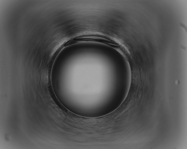 X0000092320015200709141421