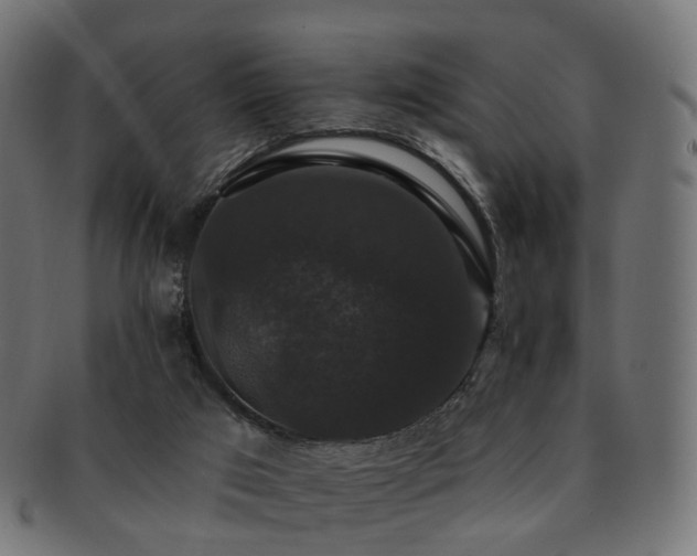 X0000092320017200709141421