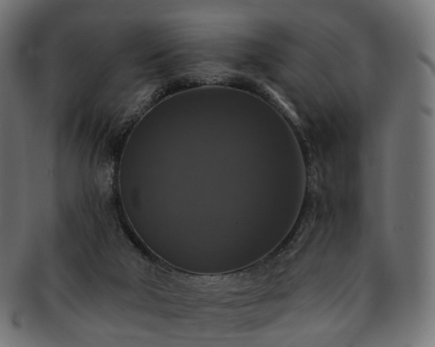 X0000092320018200709141421