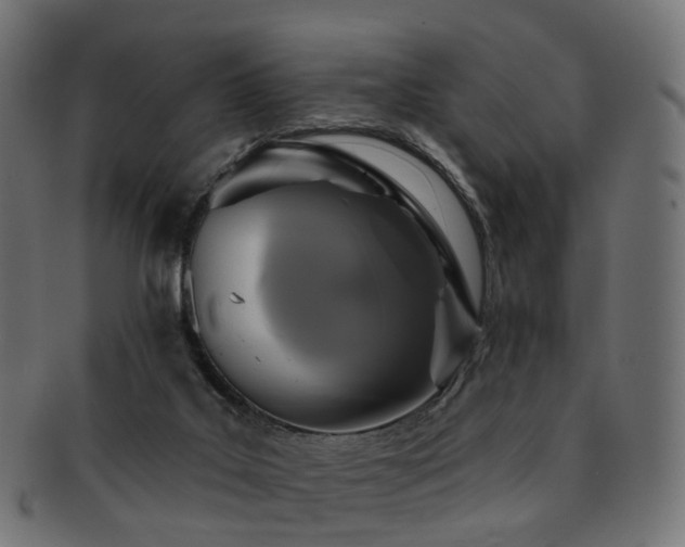 X0000092320019200709141421