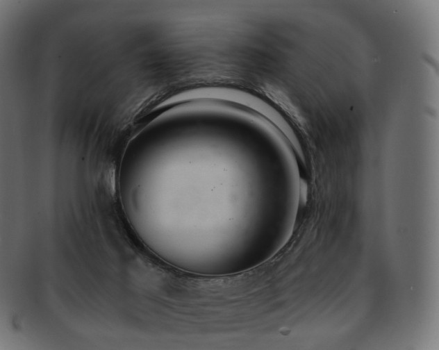 X0000092320021200709141421