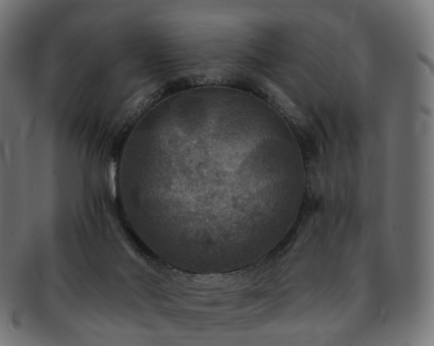 X0000092320022200709141421