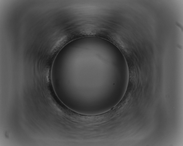 X0000092320023200709141421
