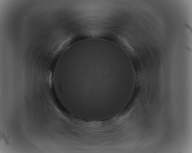 X0000092320024200709141421
