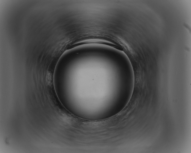 X0000092320025200709141421