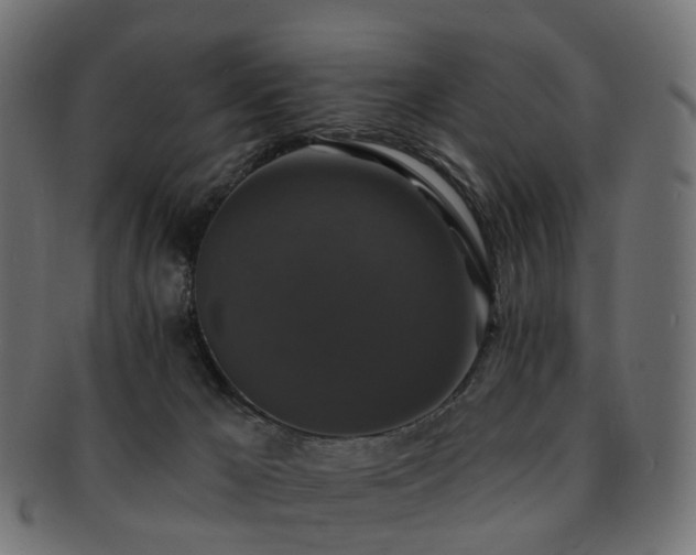 X0000092320029200709141421
