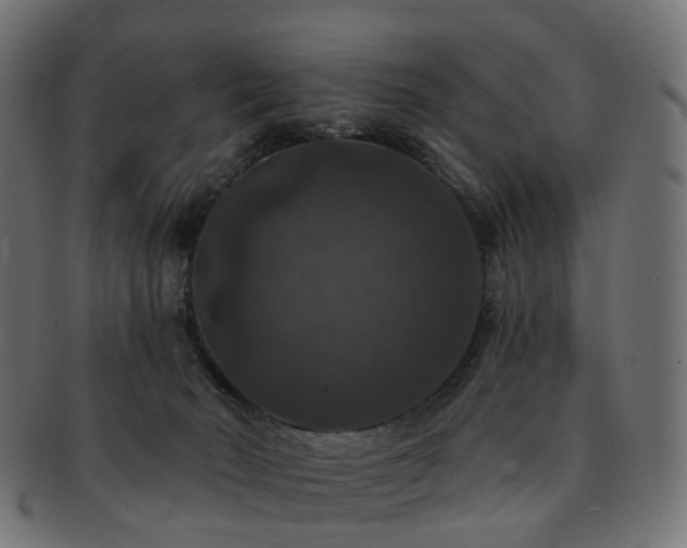 X0000092320030200709141421