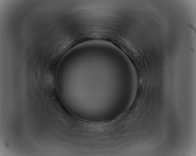 X0000092320031200709141421