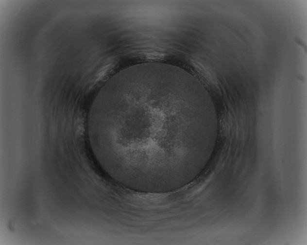 X0000092320032200709141421