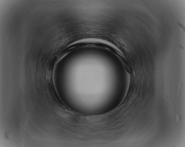 X0000092320033200709141421