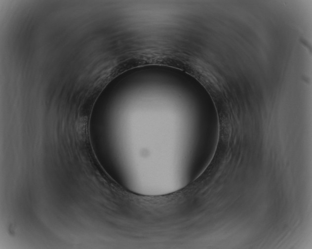X0000092320034200709141421