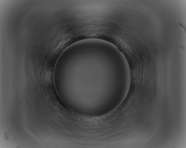 X0000092320035200709141421