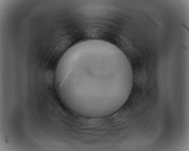 X0000092320036200709141421