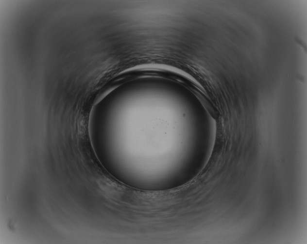 X0000092320037200709141421