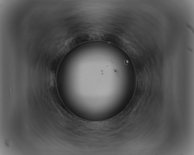 X0000092320038200709141421
