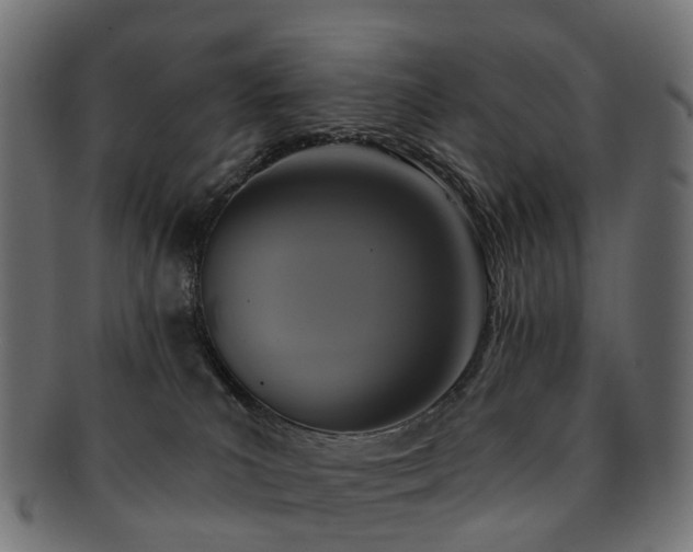 X0000092320039200709141421