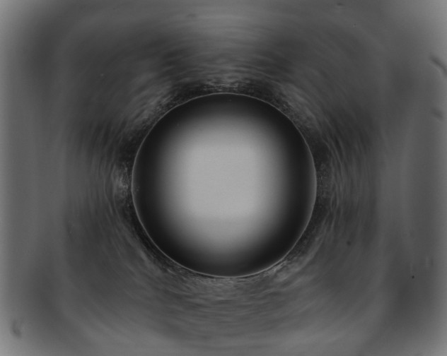 X0000092320040200709141421