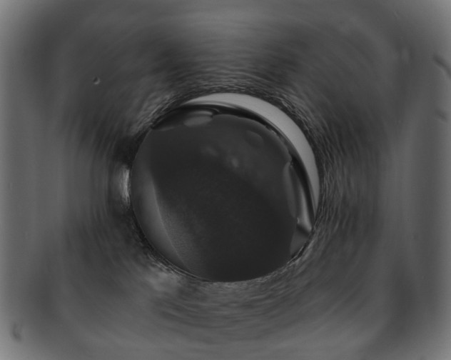 X0000092320041200709141421