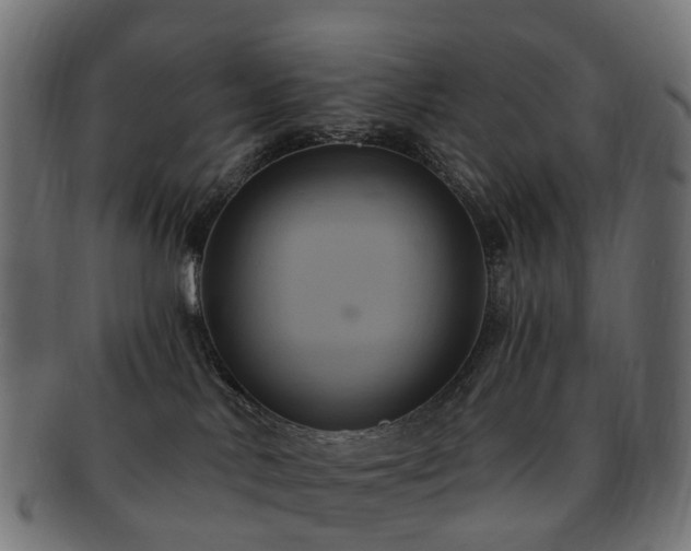 X0000092320042200709141421