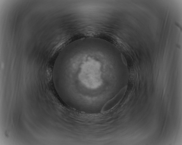X0000092320043200709141421
