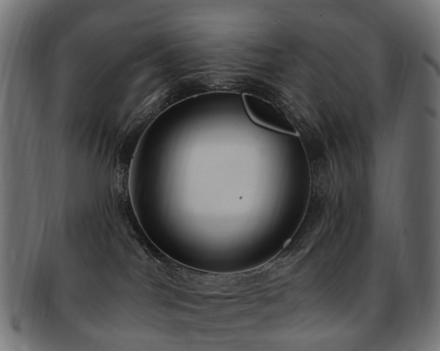 X0000092320044200709141421