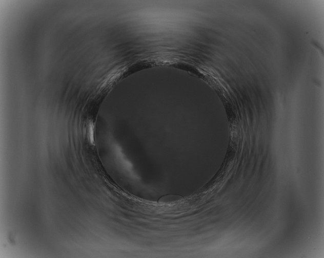 X0000092320046200709141421