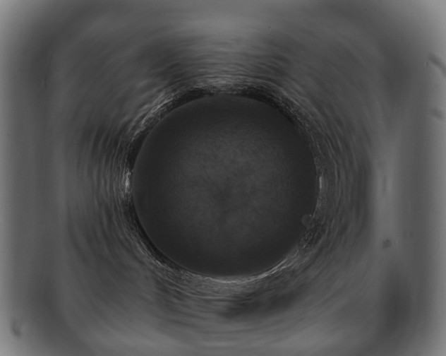 X0000092320048200709141421