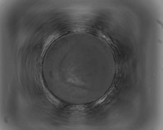 X0000092320049200709141420