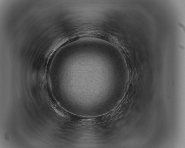 X0000092320050200709141420