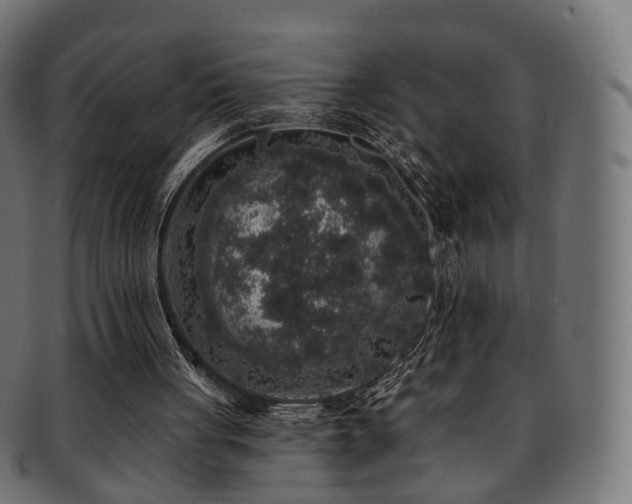 X0000092320051200709141420