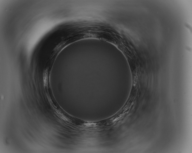 X0000092320052200709141420