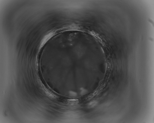 X0000092320053200709141420